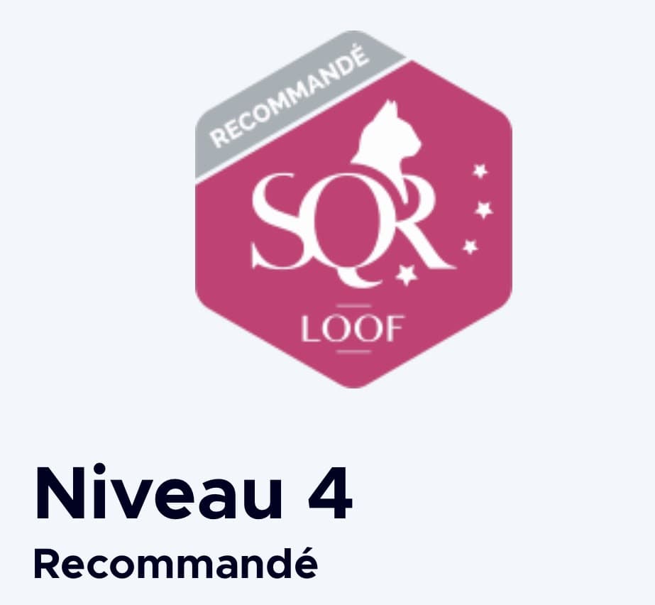 SQR LOOF — Niveau 4, Recommandé